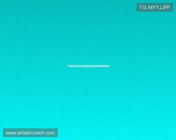 PA体育新手入门指南，帮助初学者快速掌握体育博彩的基本操作