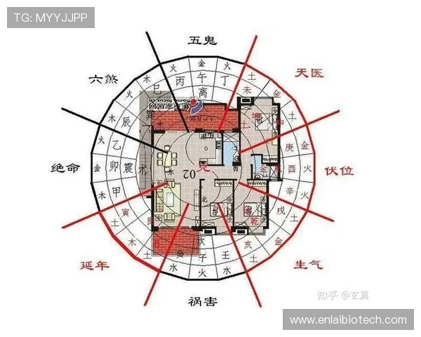 开运中国：结合现代风水学，打造属于你的开运空间与生活环境