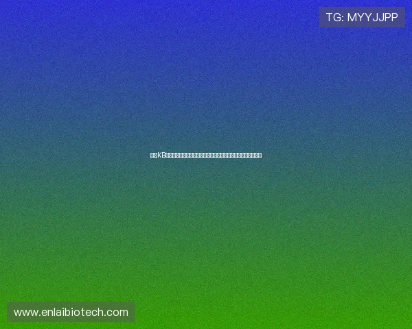 探索KB体育的创新技术应用与安全保障措施,保障玩家权益与平台稳定