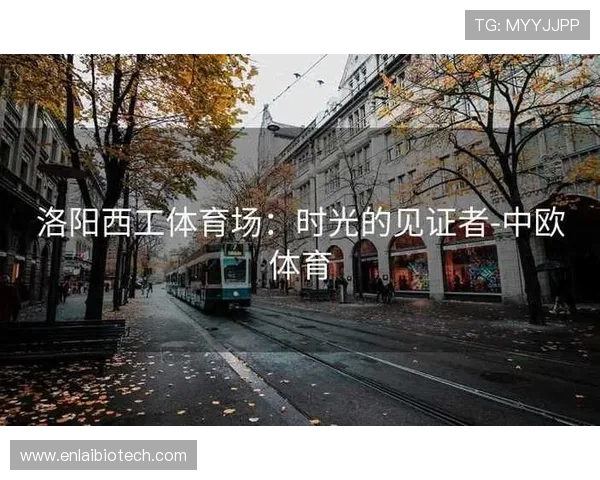 中欧体育官网入口官方安全保障措施介绍保障玩家个人信息与资金安全